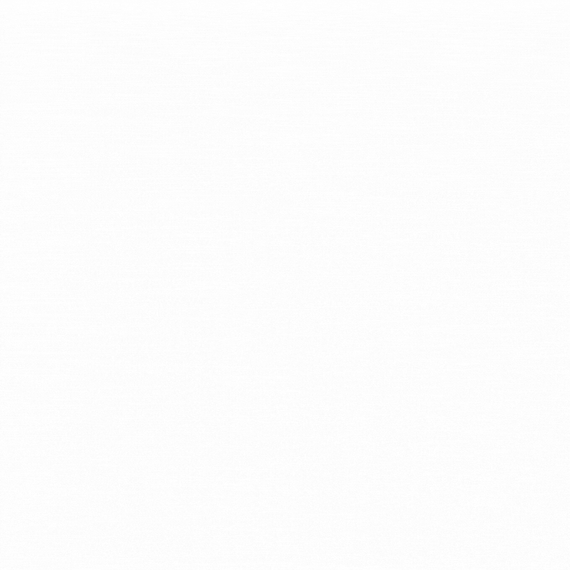 Logo of the National Space Agency of Singapore (NSAS)